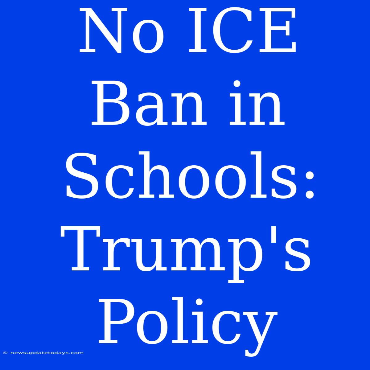 No ICE Ban In Schools: Trump's Policy