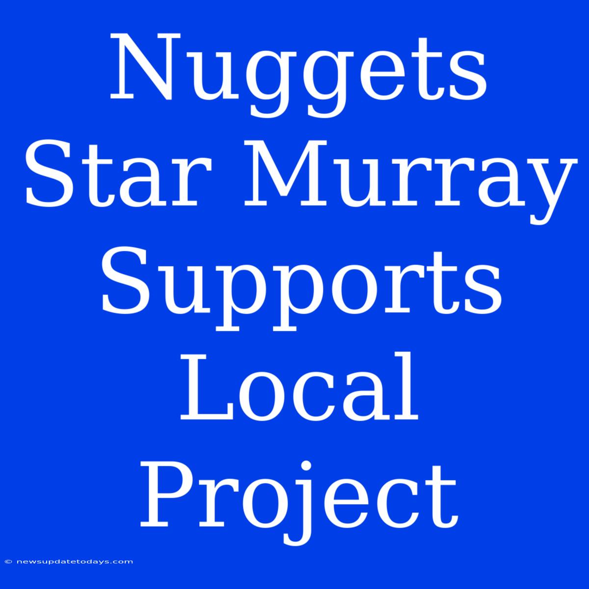 Nuggets Star Murray Supports Local Project