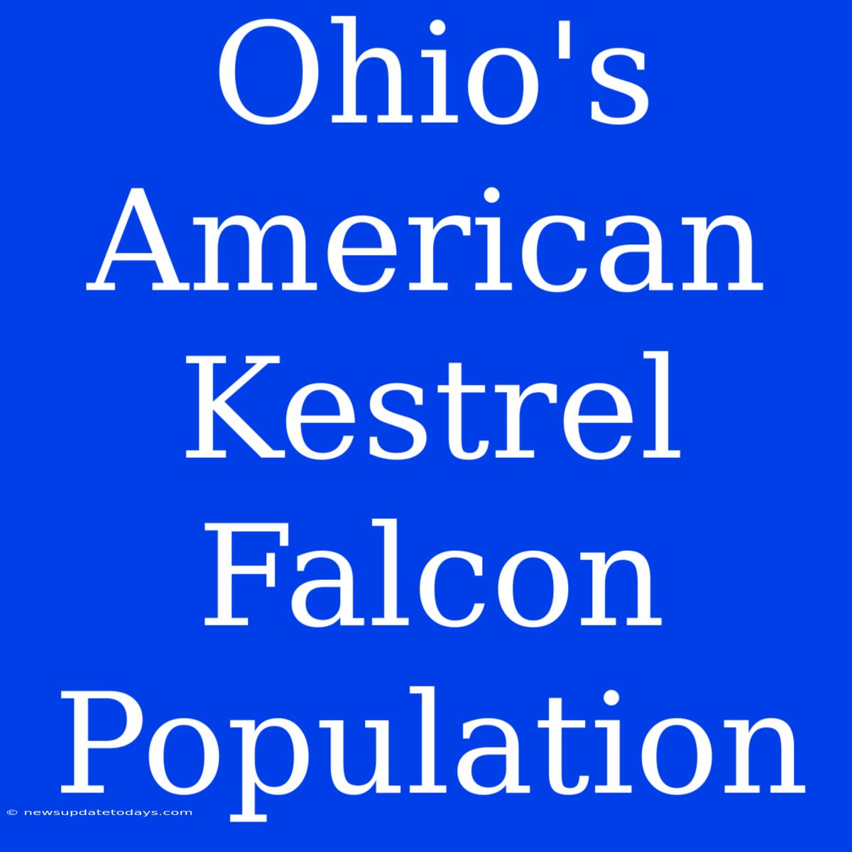 Ohio's American Kestrel Falcon Population