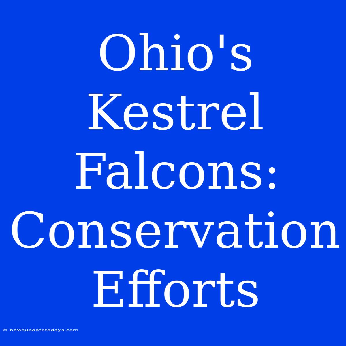 Ohio's Kestrel Falcons: Conservation Efforts