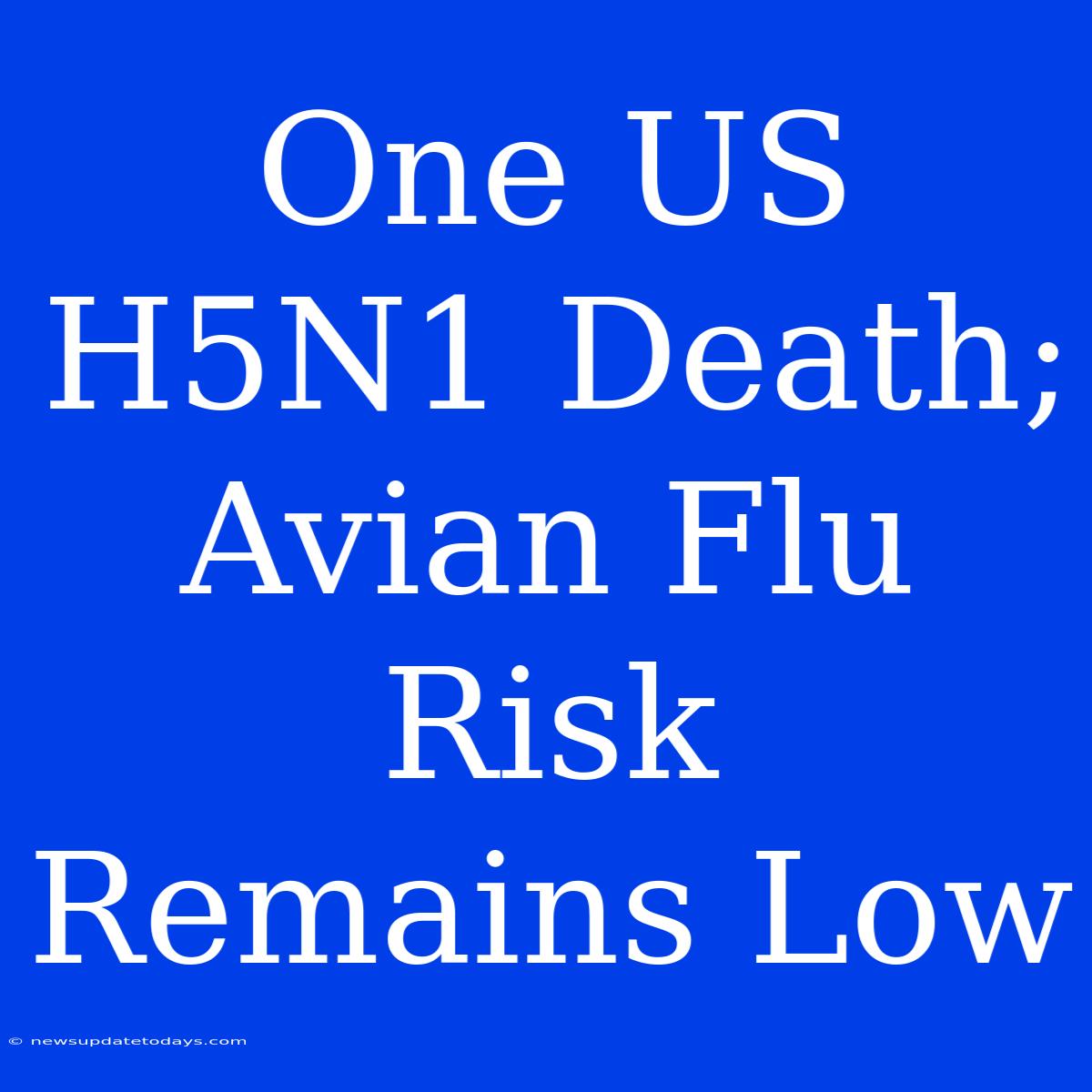 One US H5N1 Death; Avian Flu Risk Remains Low