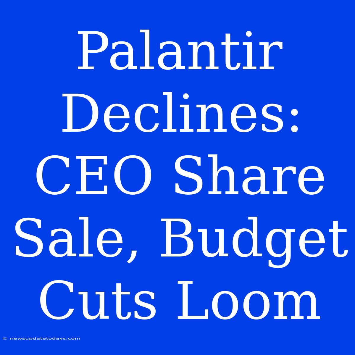 Palantir Declines: CEO Share Sale, Budget Cuts Loom