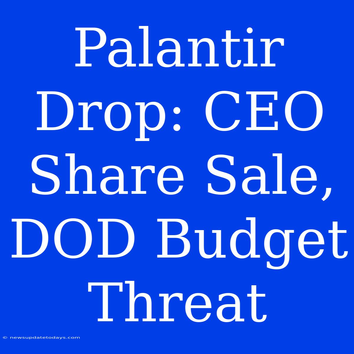 Palantir Drop: CEO Share Sale, DOD Budget Threat