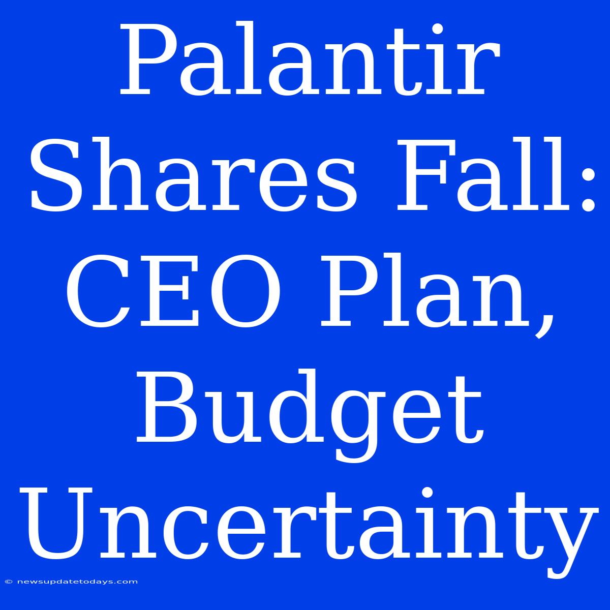 Palantir Shares Fall: CEO Plan, Budget Uncertainty