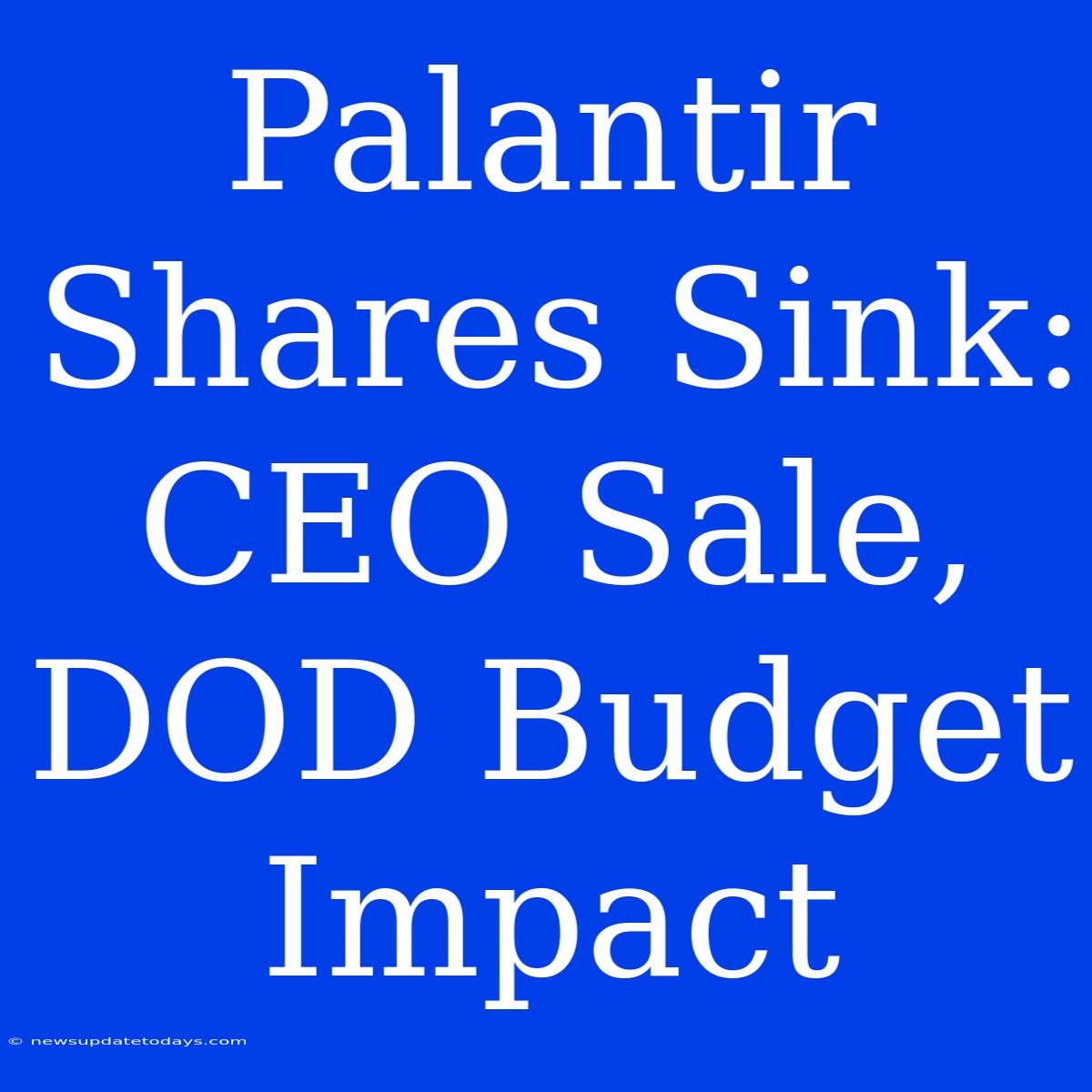 Palantir Shares Sink: CEO Sale, DOD Budget Impact