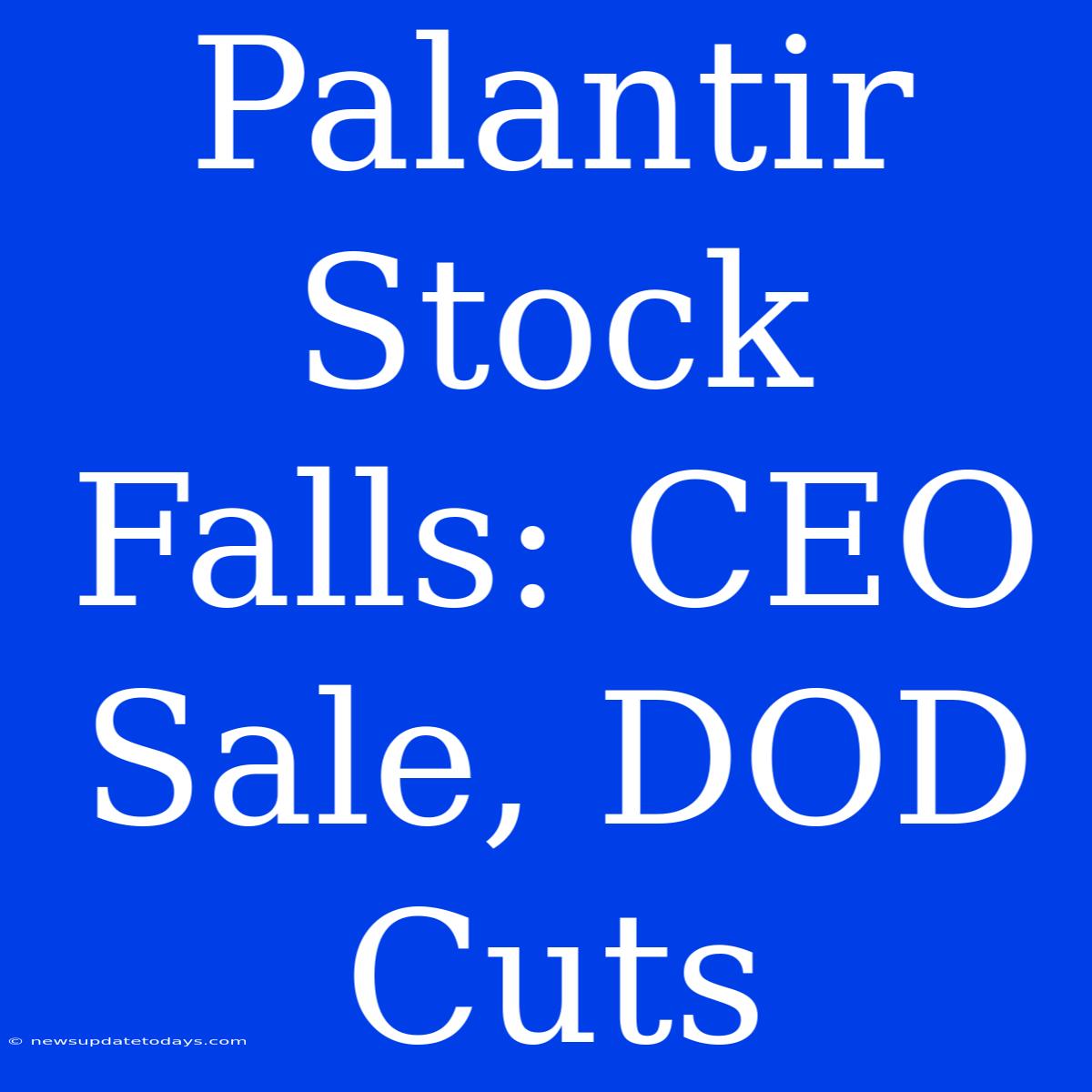 Palantir Stock Falls: CEO Sale, DOD Cuts