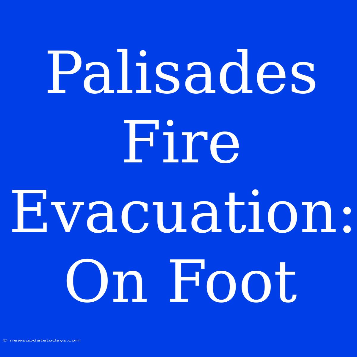 Palisades Fire Evacuation: On Foot