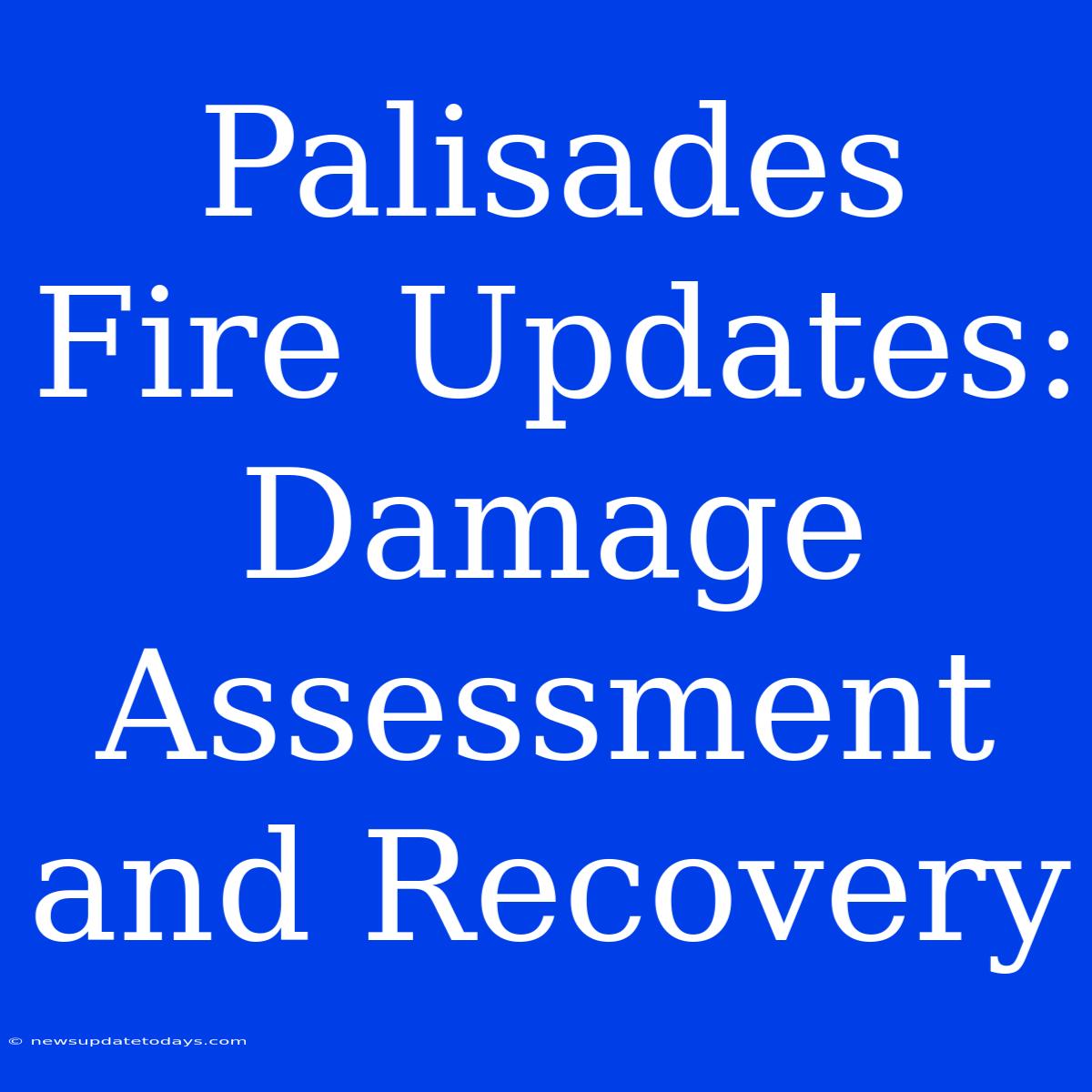 Palisades Fire Updates:  Damage Assessment And Recovery