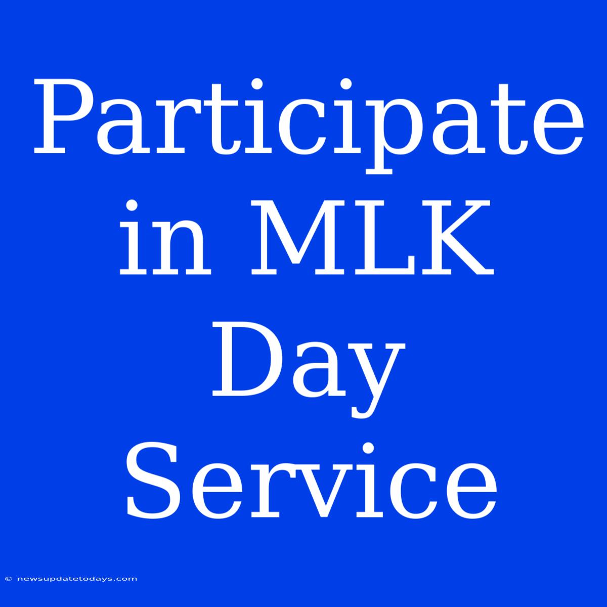 Participate In MLK Day Service