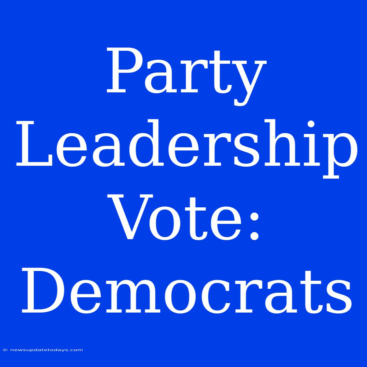 Party Leadership Vote: Democrats