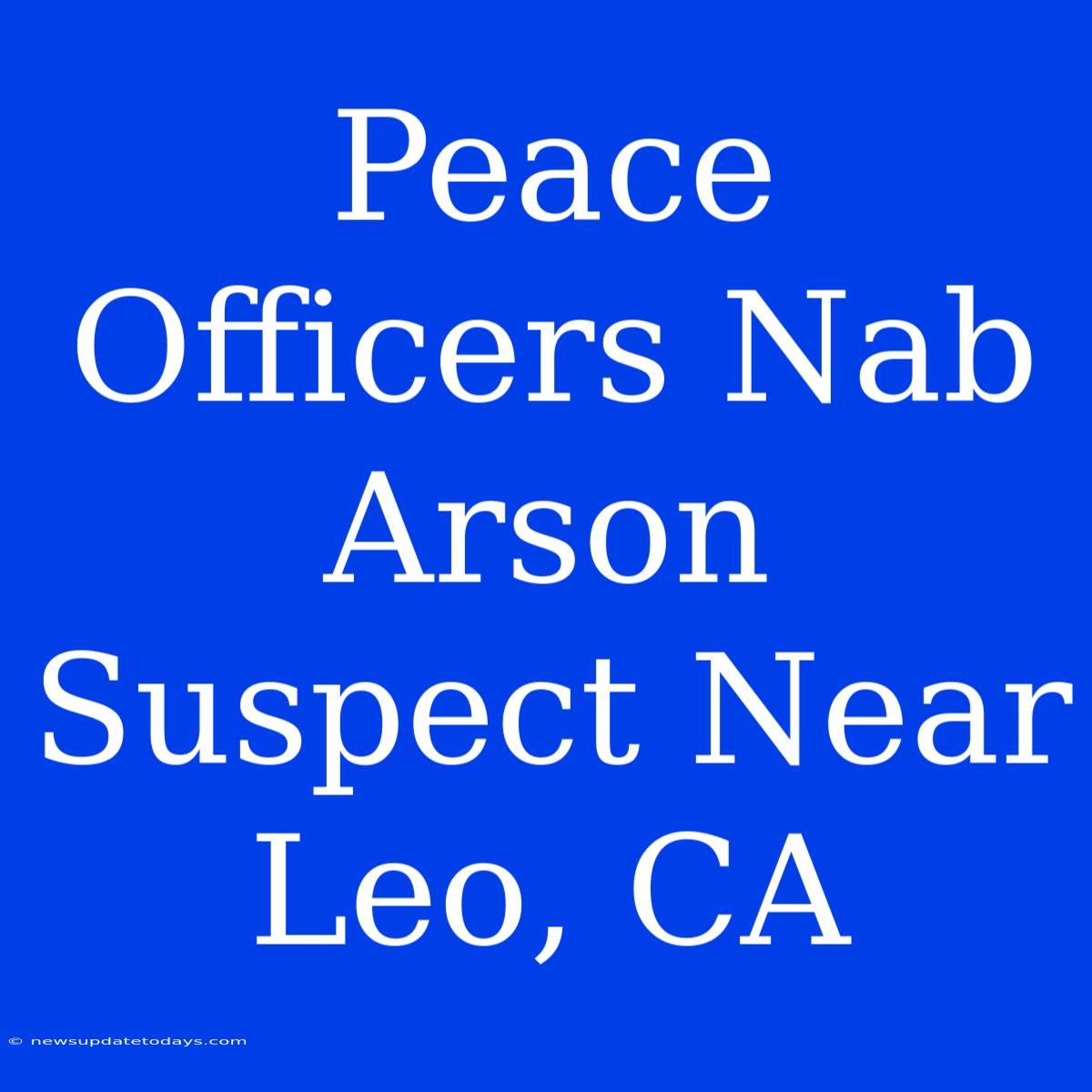 Peace Officers Nab Arson Suspect Near Leo, CA