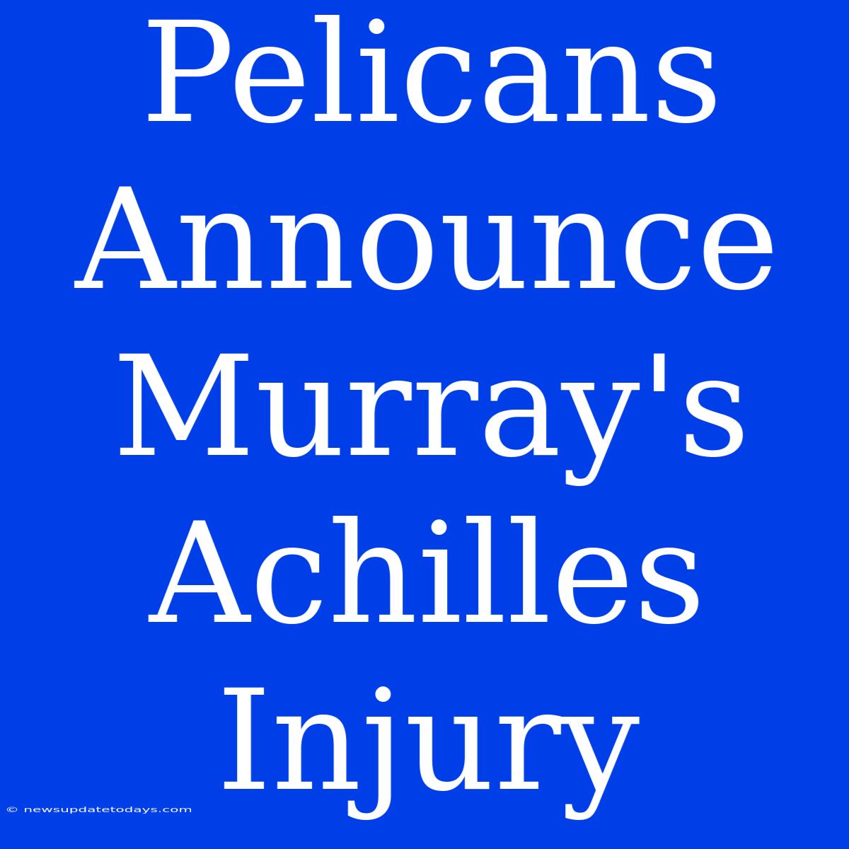 Pelicans Announce Murray's Achilles Injury