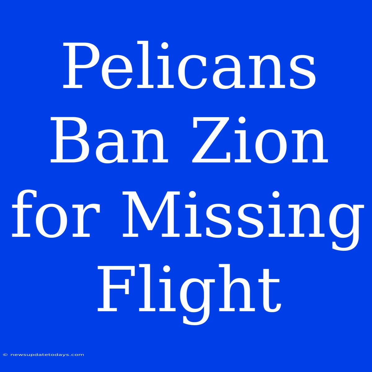 Pelicans Ban Zion For Missing Flight