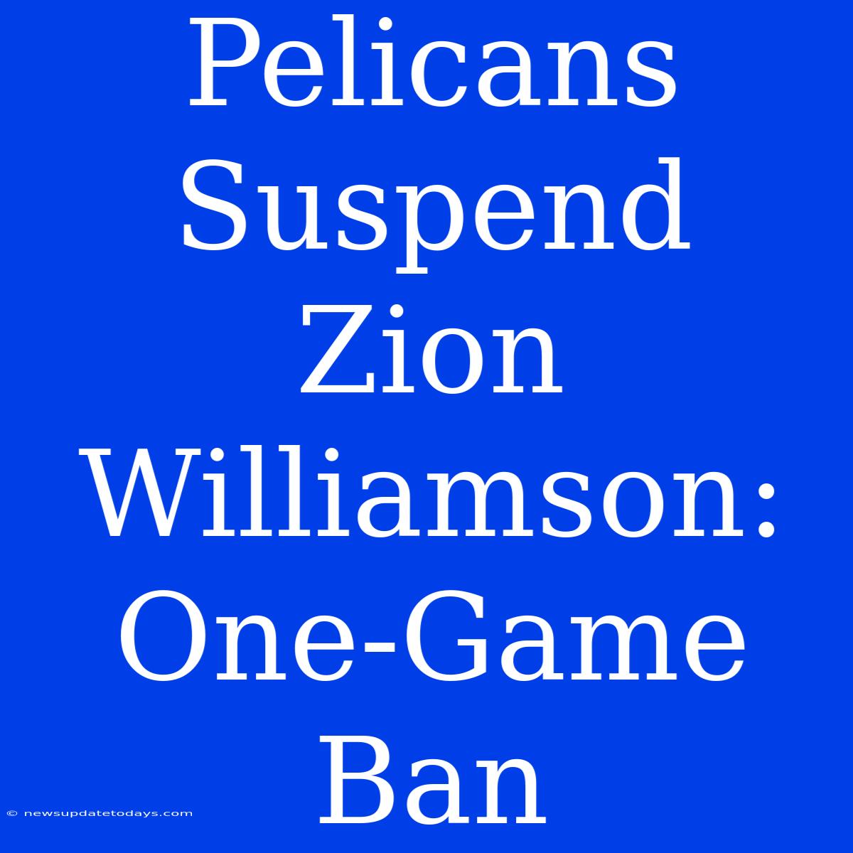 Pelicans Suspend Zion Williamson: One-Game Ban