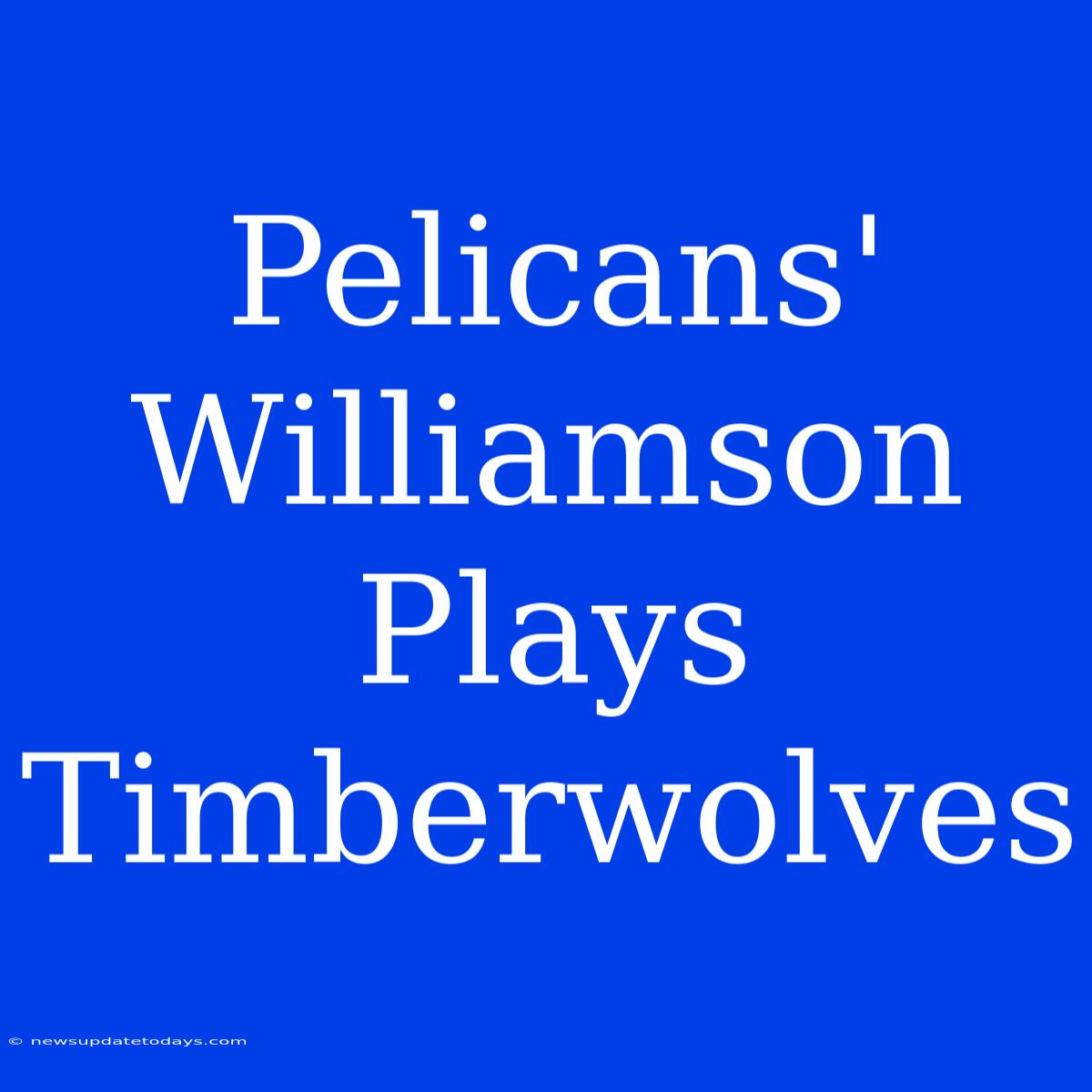 Pelicans' Williamson Plays Timberwolves