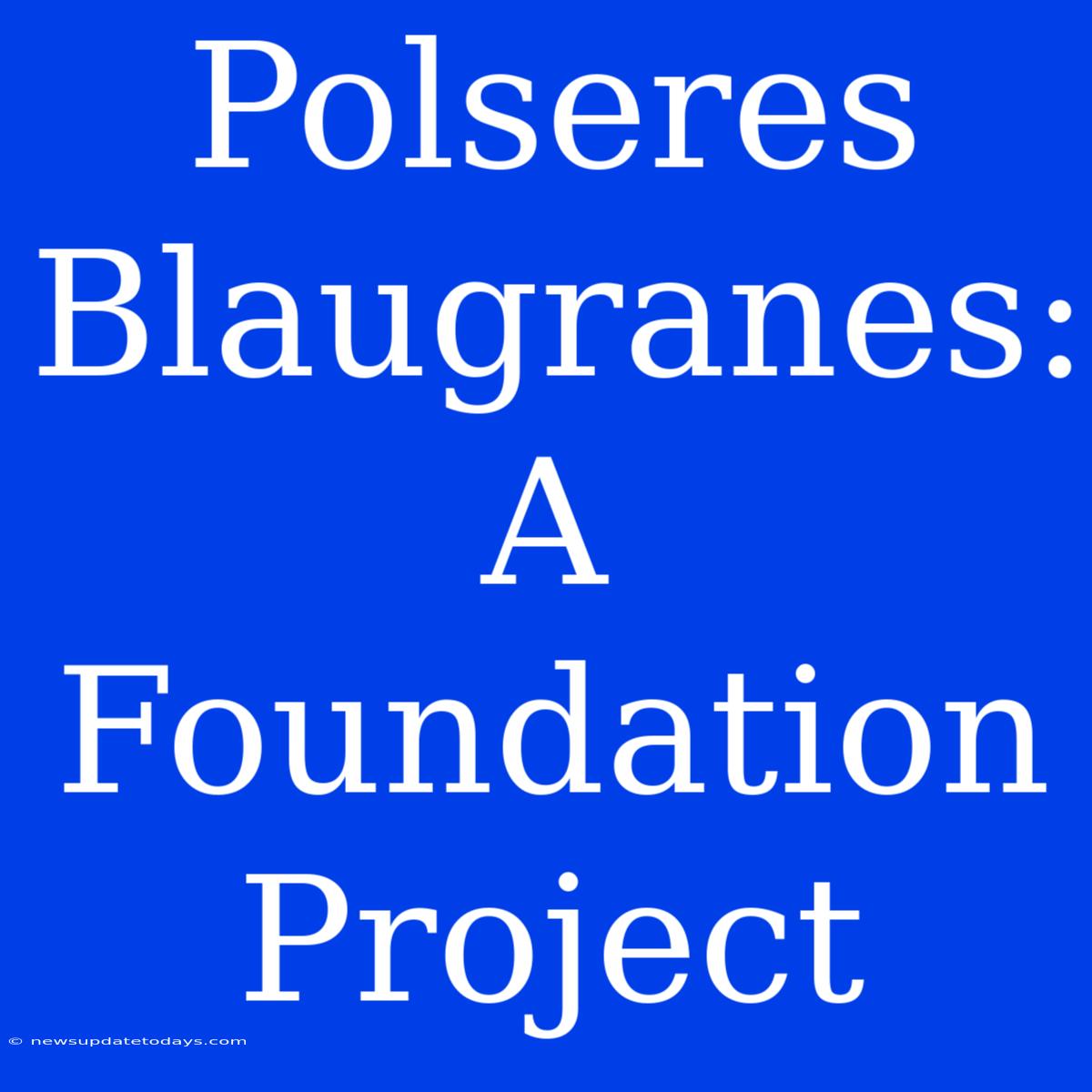 Polseres Blaugranes: A Foundation Project