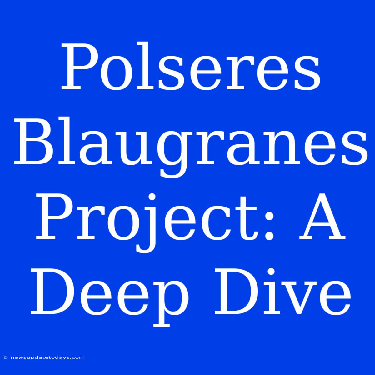 Polseres Blaugranes Project: A Deep Dive