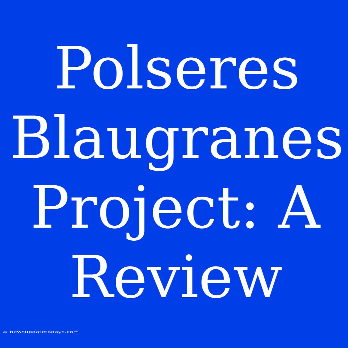 Polseres Blaugranes Project: A Review