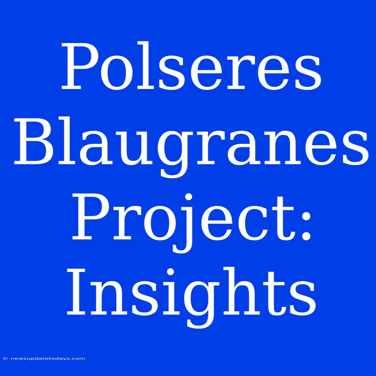 Polseres Blaugranes Project: Insights