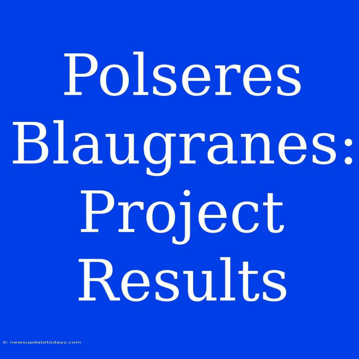 Polseres Blaugranes: Project Results