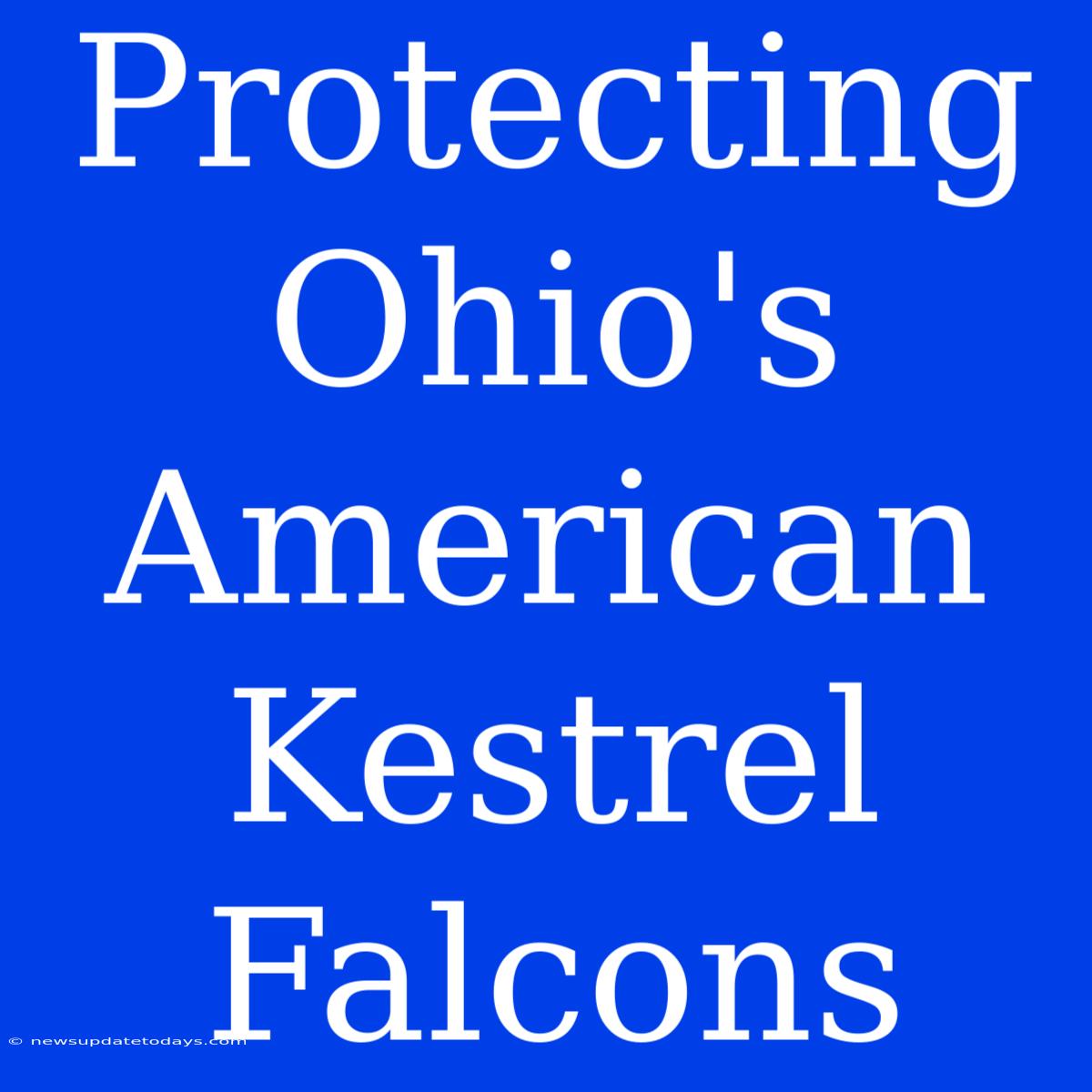 Protecting Ohio's American Kestrel Falcons