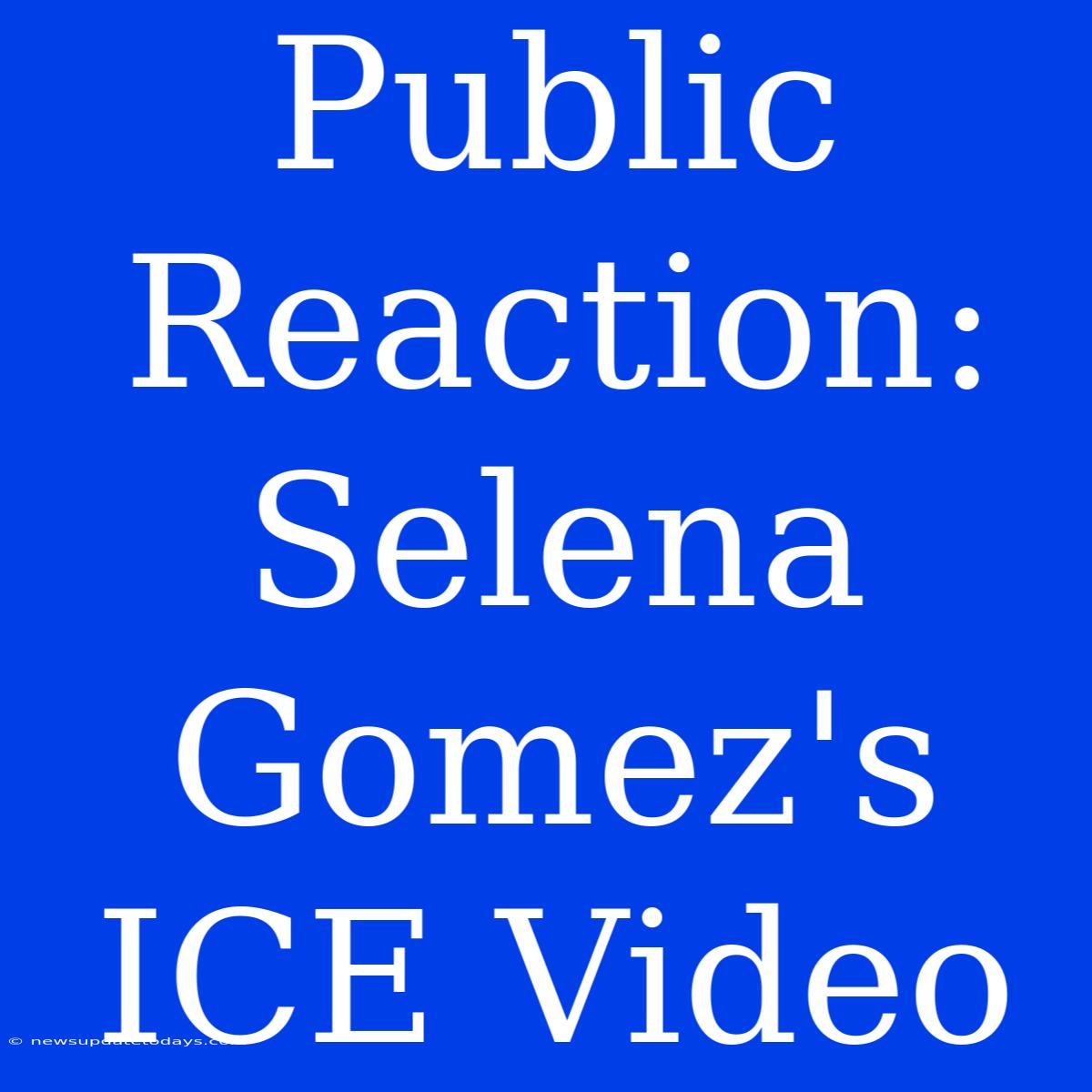 Public Reaction: Selena Gomez's ICE Video