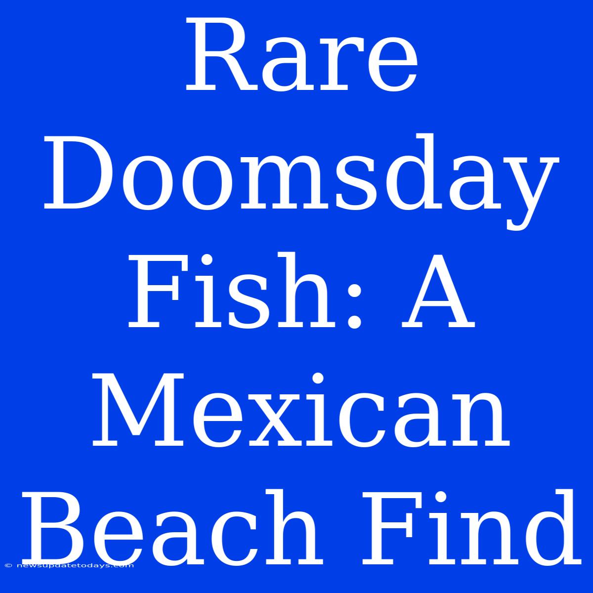 Rare Doomsday Fish: A Mexican Beach Find