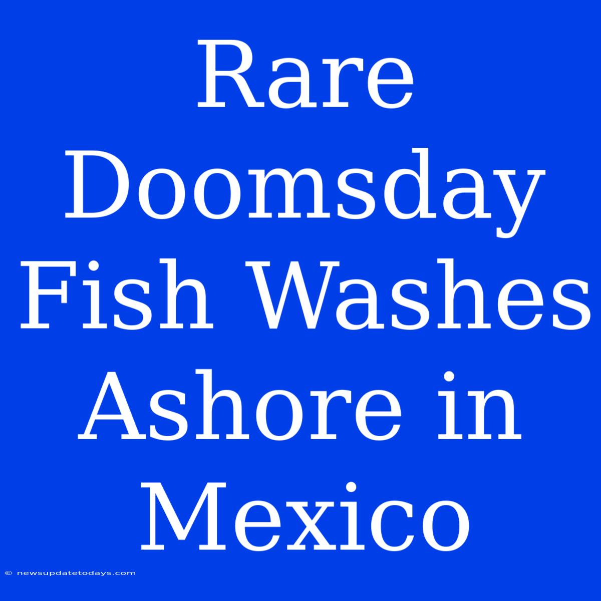 Rare Doomsday Fish Washes Ashore In Mexico