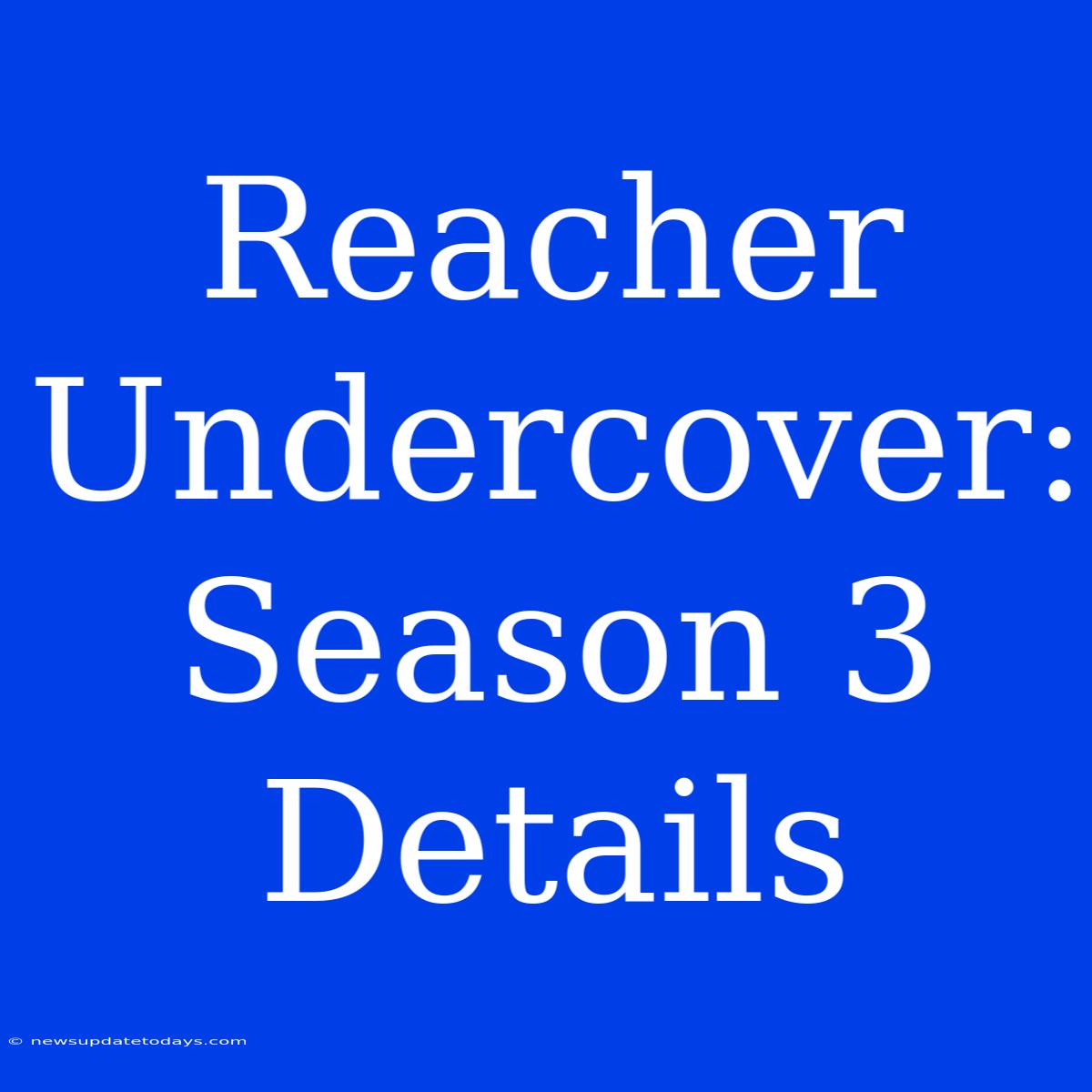 Reacher Undercover: Season 3 Details