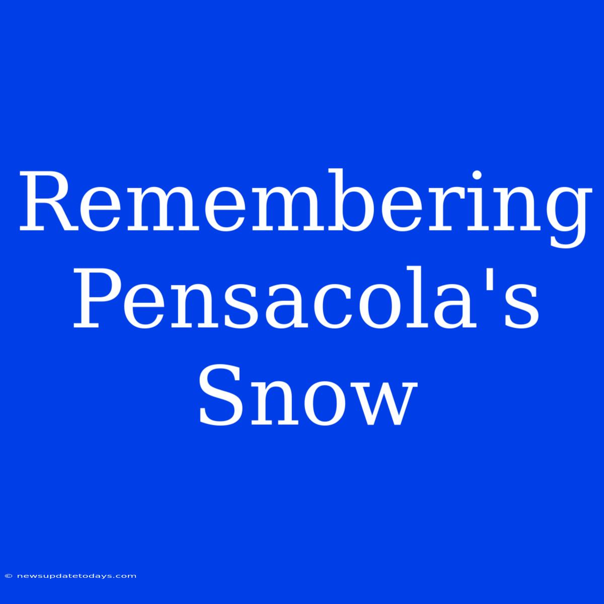 Remembering Pensacola's Snow