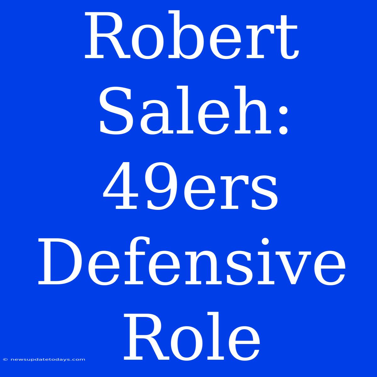 Robert Saleh: 49ers Defensive Role