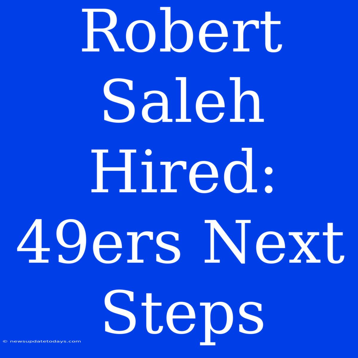 Robert Saleh Hired: 49ers Next Steps