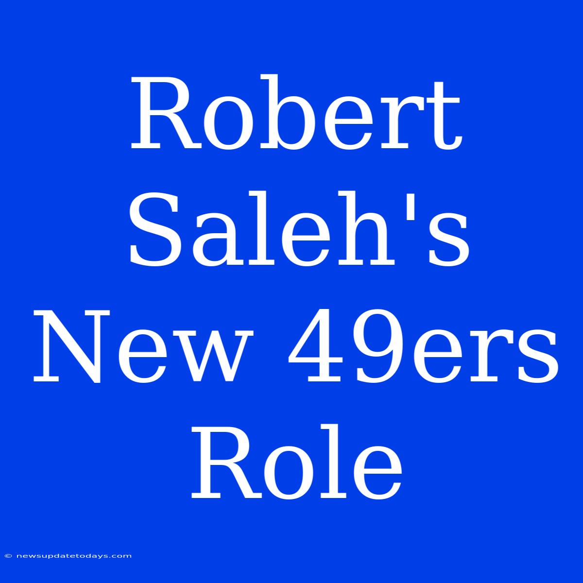 Robert Saleh's New 49ers Role