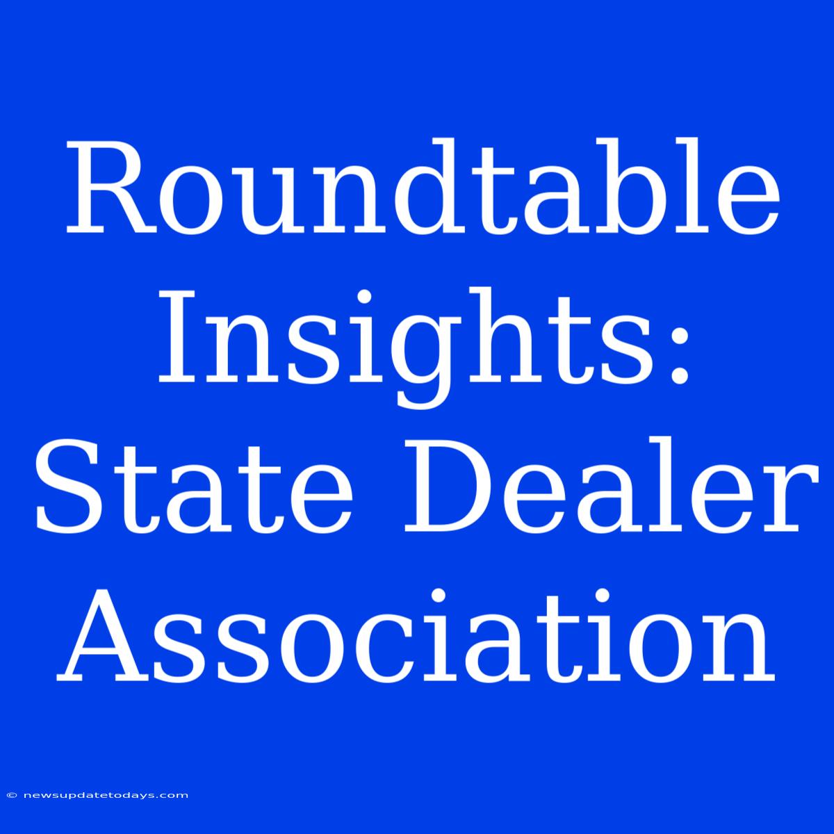 Roundtable Insights: State Dealer Association