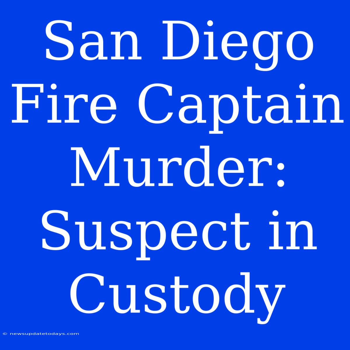 San Diego Fire Captain Murder: Suspect In Custody