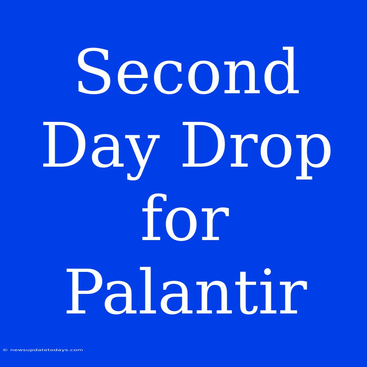 Second Day Drop For Palantir