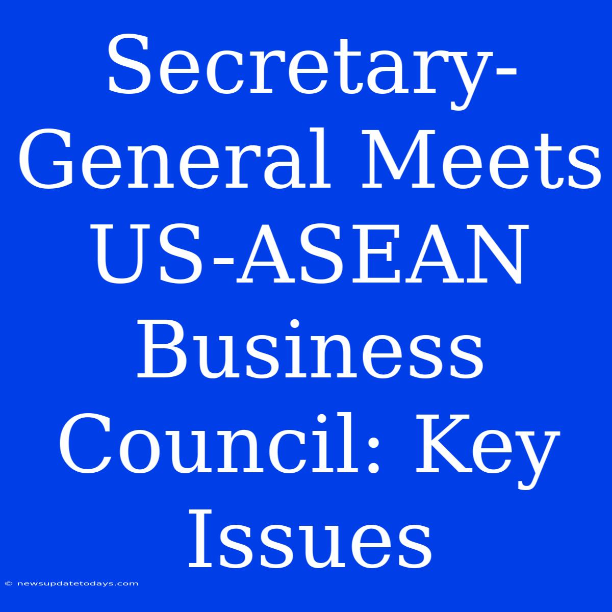 Secretary-General Meets US-ASEAN Business Council: Key Issues