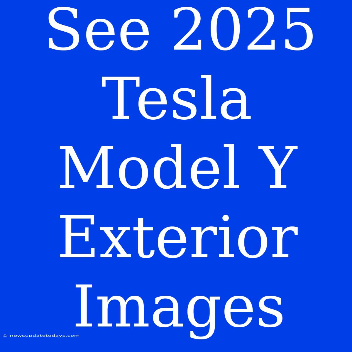 See 2025 Tesla Model Y Exterior Images