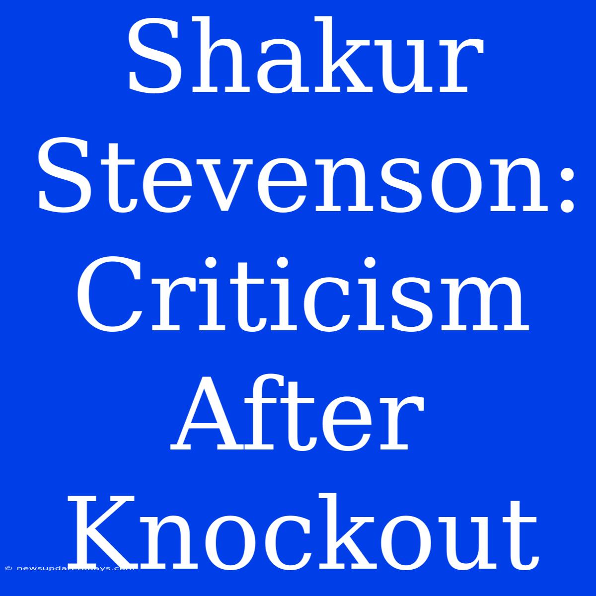 Shakur Stevenson: Criticism After Knockout