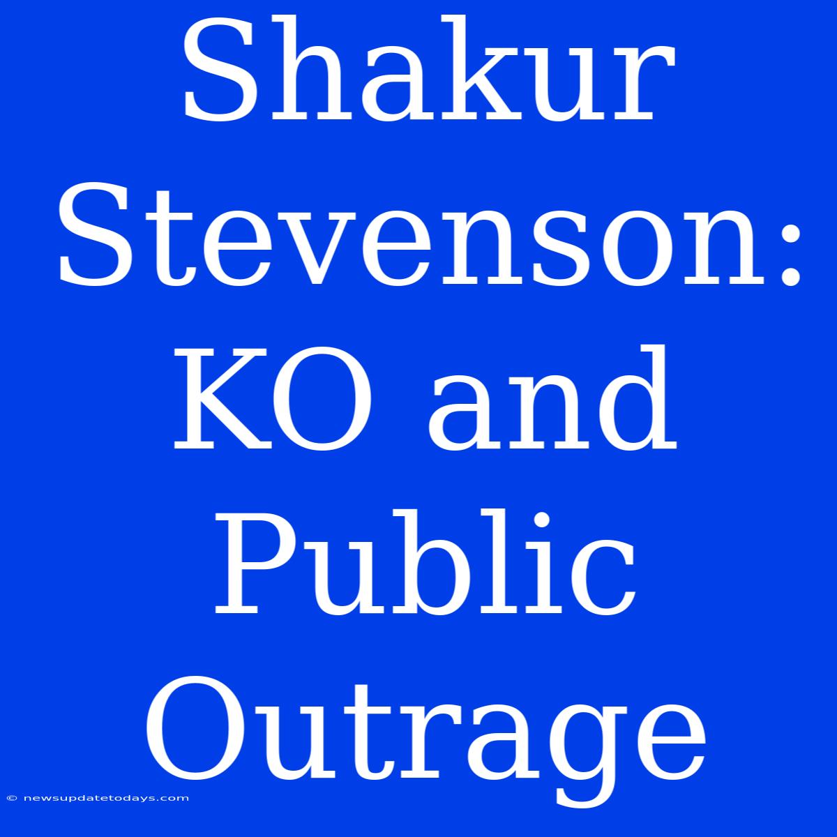 Shakur Stevenson: KO And Public Outrage