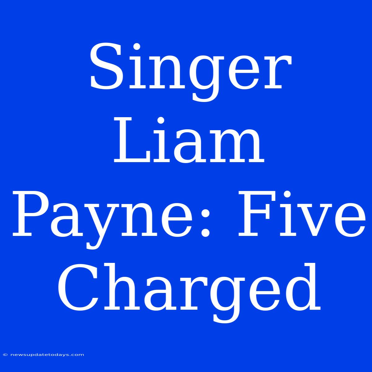 Singer Liam Payne: Five Charged