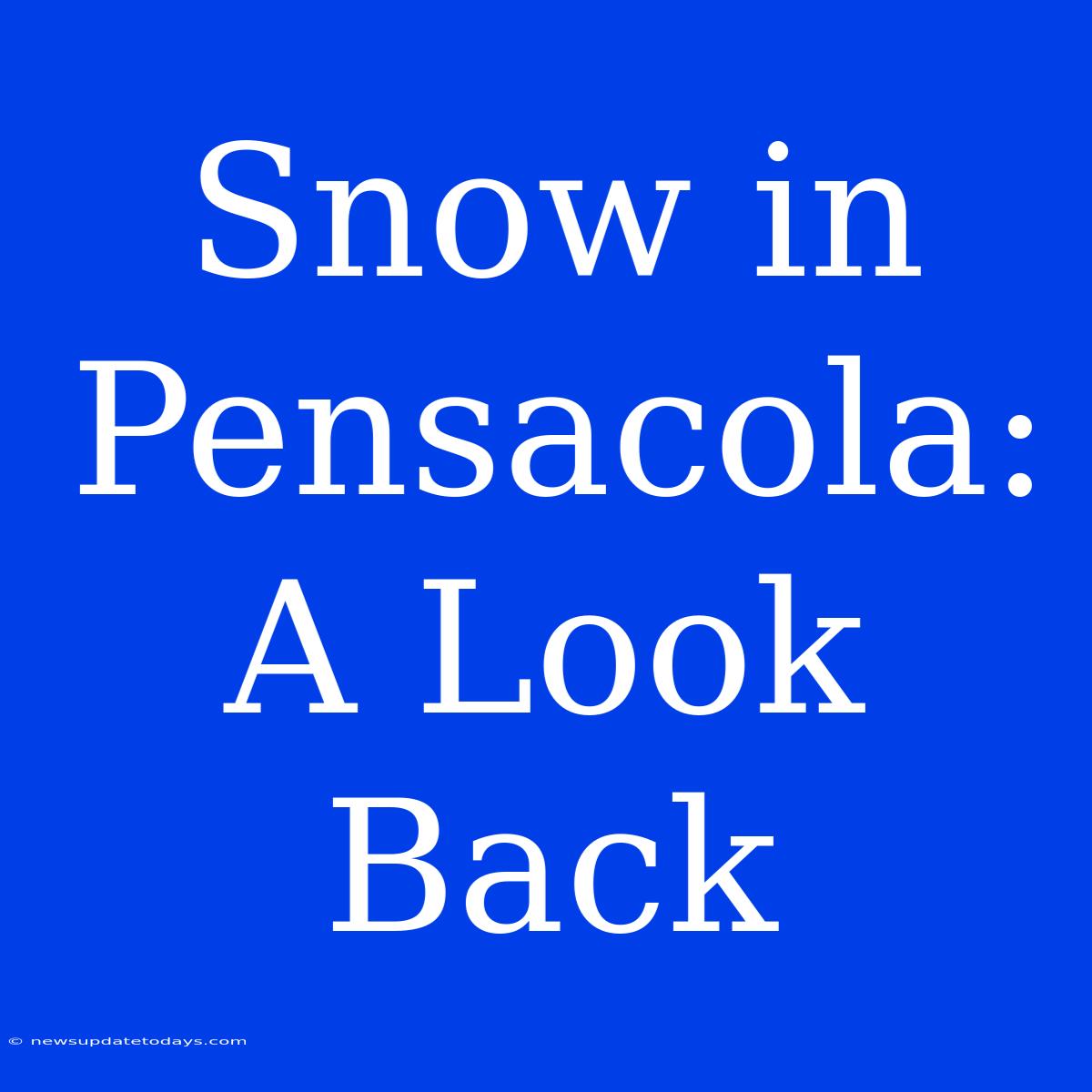 Snow In Pensacola: A Look Back