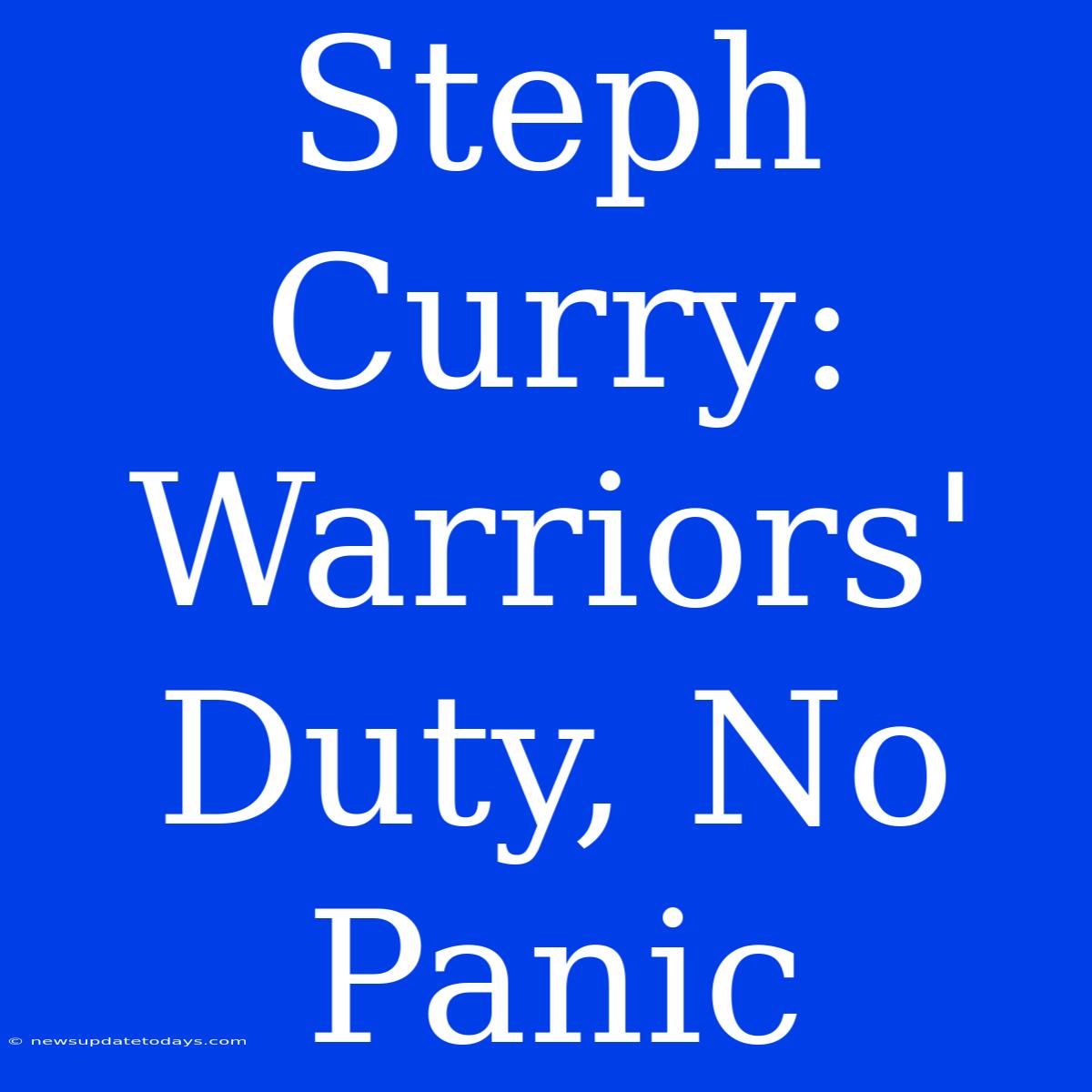 Steph Curry: Warriors' Duty, No Panic