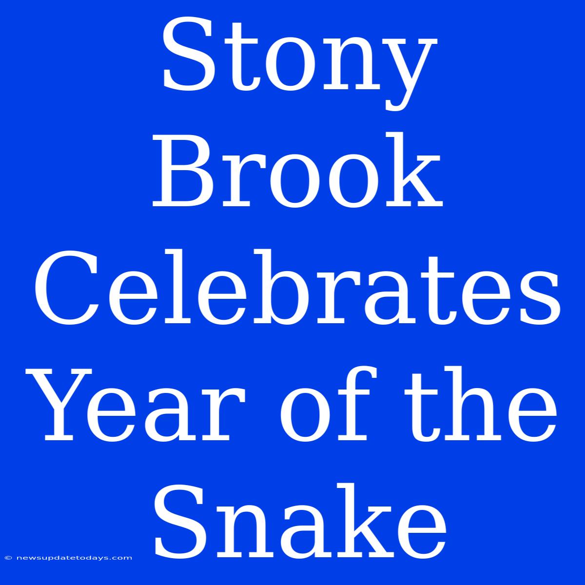 Stony Brook Celebrates Year Of The Snake