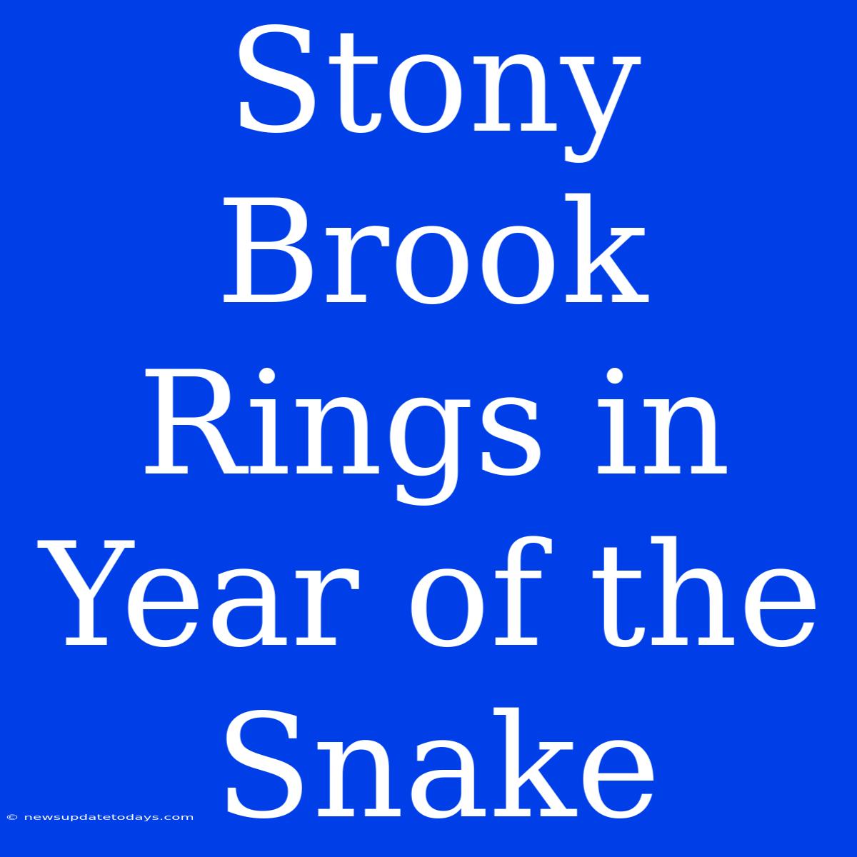 Stony Brook Rings In Year Of The Snake