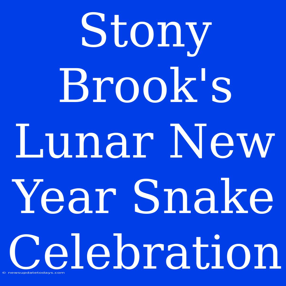 Stony Brook's Lunar New Year Snake Celebration