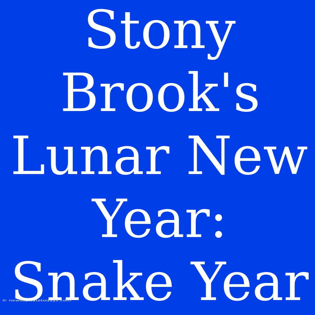 Stony Brook's Lunar New Year: Snake Year