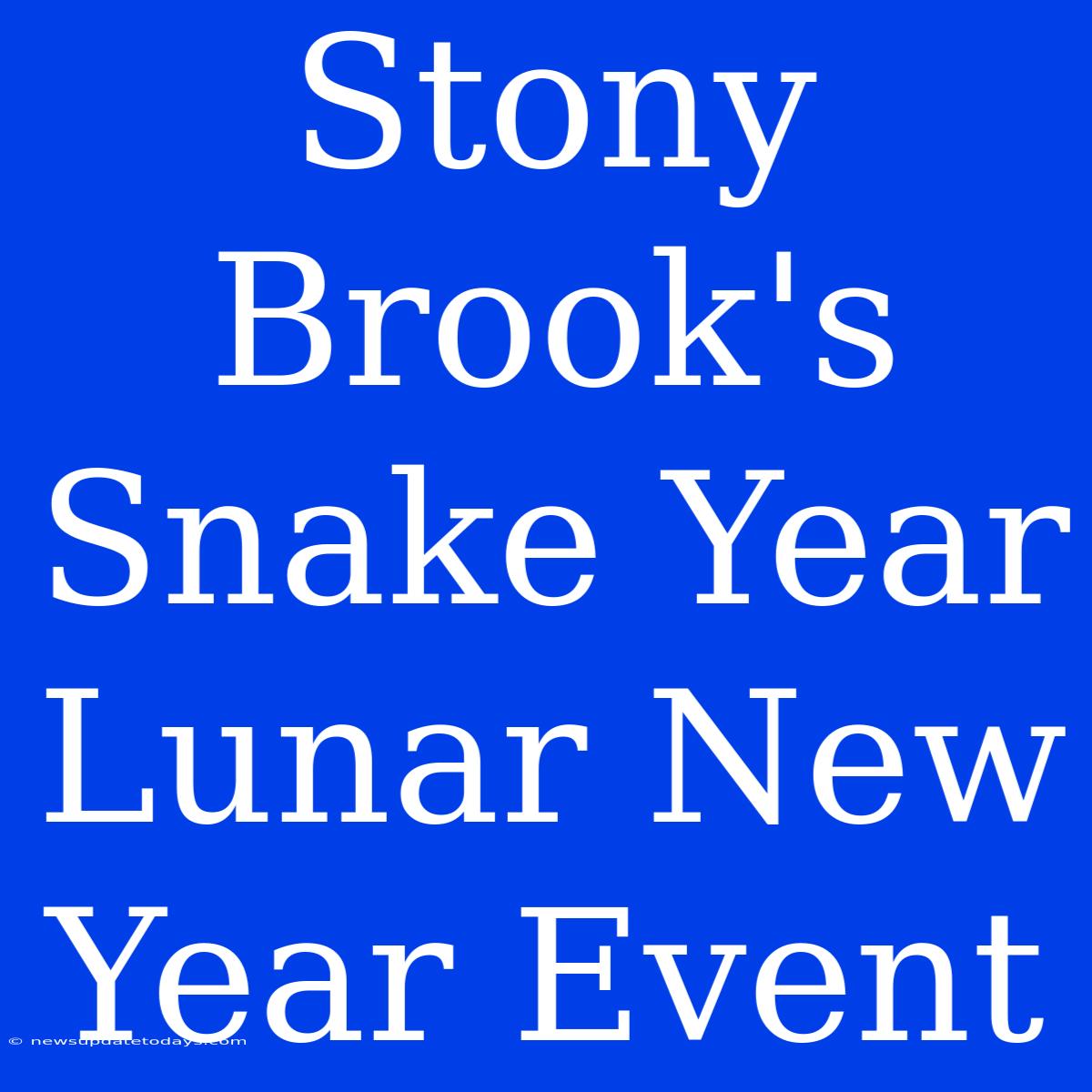 Stony Brook's Snake Year Lunar New Year Event