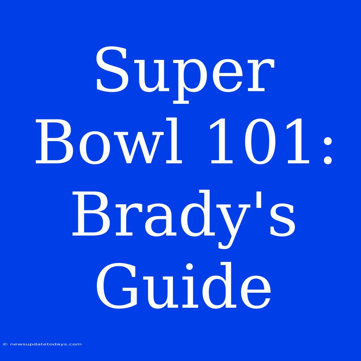 Super Bowl 101: Brady's Guide