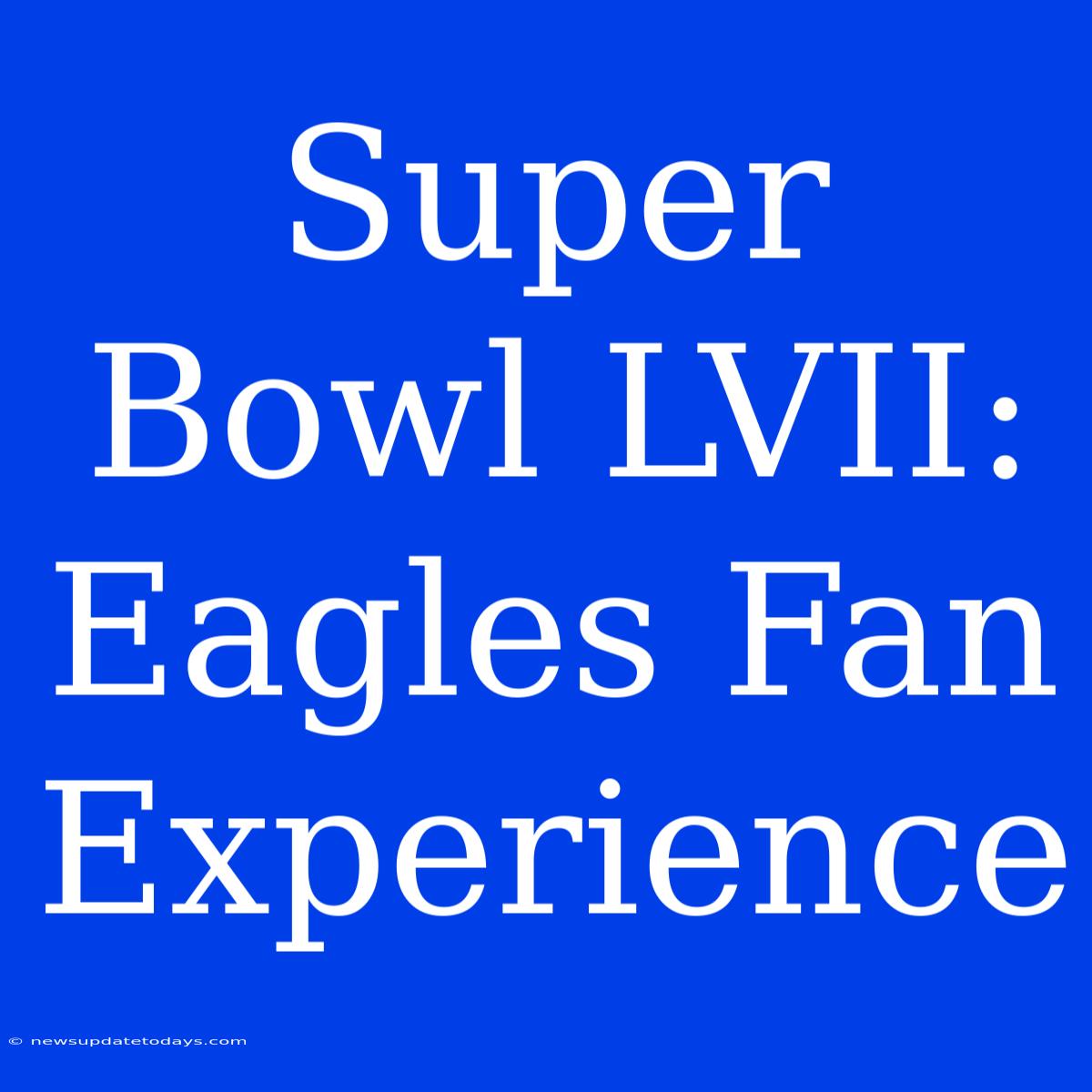 Super Bowl LVII: Eagles Fan Experience